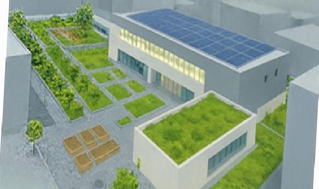 İzmir çatılarda yeşil ihtilali başlatıyor