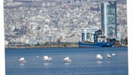 İzmir’de kiralar 20 kat arttı