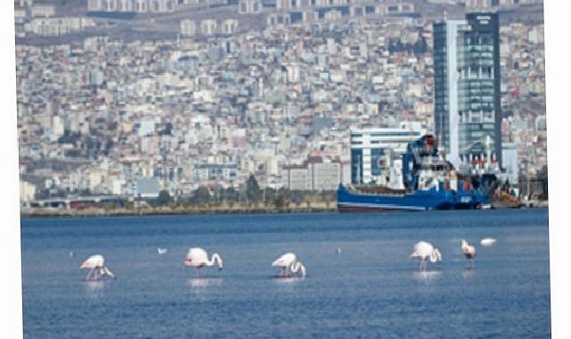 İzmir’de kiralar 20 kat arttı