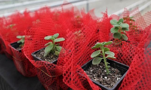 Keçiören’de Şuurlu Ziraî Üretim İçin Eğitim Verildi