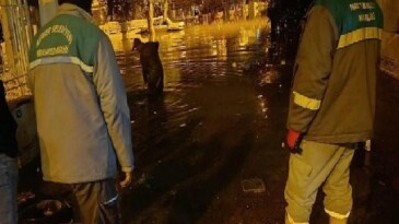 Kemer’de paklık çalışmaları devam ediyor