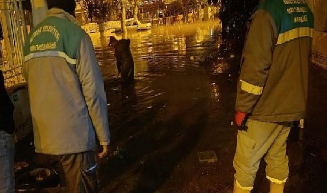 Kemer’de paklık çalışmaları devam ediyor