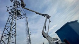 Kuşların Göç Seyahatinde “Elektrik Çarpması Tehdidinin Önlenmesi” için Memleketler arası Çalışma Başlatıldı.