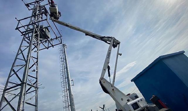 Kuşların Göç Seyahatinde “Elektrik Çarpması Tehdidinin Önlenmesi” için Memleketler arası Çalışma Başlatıldı.