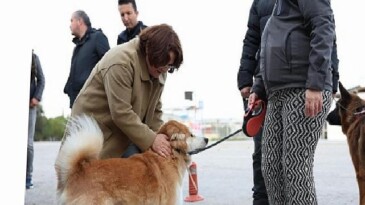 Mavişehir Mahallesi’nde Büyük Dönüşüm Devam Ediyor