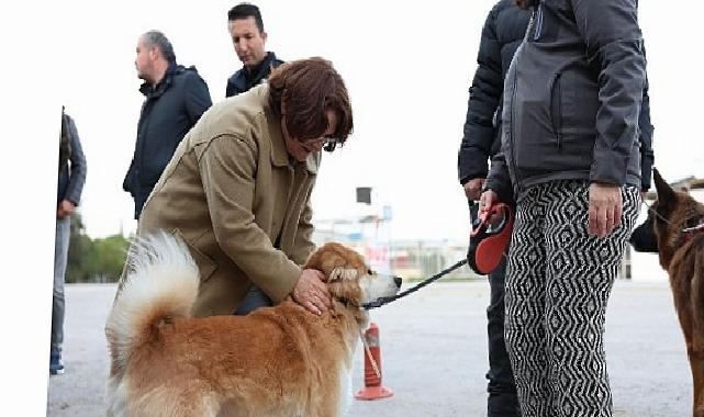 Mavişehir Mahallesi’nde Büyük Dönüşüm Devam Ediyor