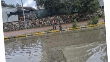 Mazgalların paklığı tüm süratiyle sürüyor