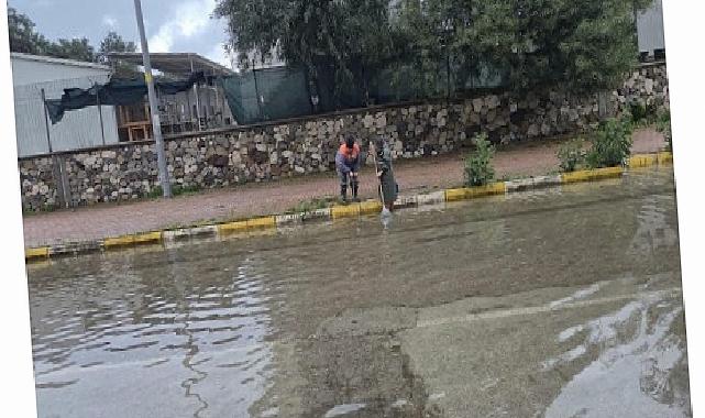 Mazgalların paklığı tüm süratiyle sürüyor