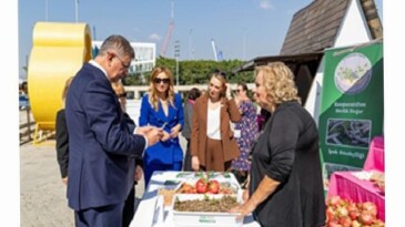 Menderes’te salep umudu