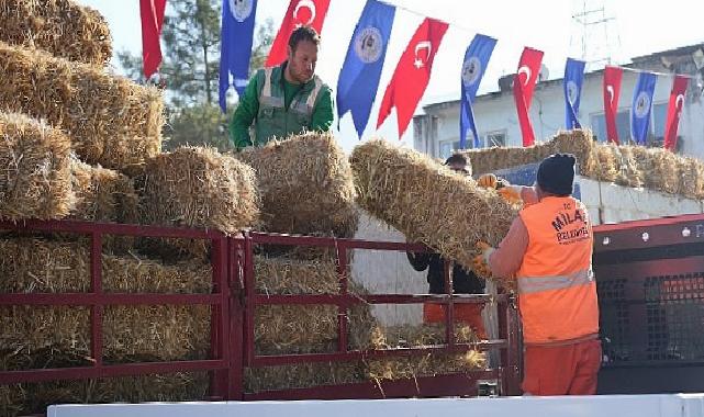 Milas Belediyesi Üreticilere Yönelik Dayanaklarını Sürdürüyor