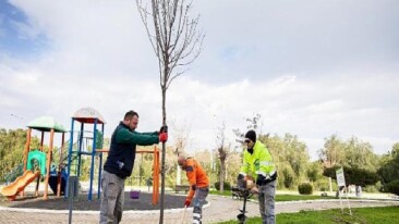 Narlıdere, Peyzaj Çalışmalarıyla Güzelleşiyor