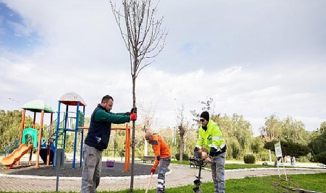 Narlıdere, Peyzaj Çalışmalarıyla Güzelleşiyor