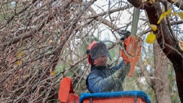 Öğrenciler tatilde, Konak Belediyesi grupları iş başında