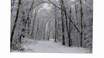 Ormanya’da kartpostallık kış görüntüleri