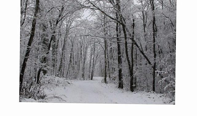 Ormanya’da kartpostallık kış görüntüleri