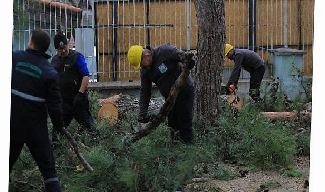 Osmangazi Belediyesi’nden Lodosa Karşı Aktif Müdahale