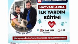 Patili dostlar için hayat kurtaran eğitim