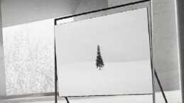 Samsung, yeni kuşak renklere ve dizayna sahip dünyanın birinci 130 inç Mikro RGB TV’sini tanıttı