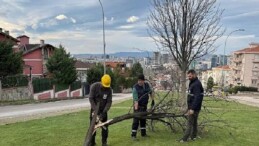 Şiddetli Lodosun Devirdiği Ağaçlara Osmangazi Belediyesi’nden Anında Müdahale 