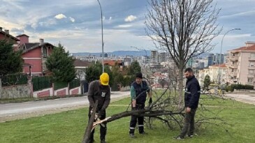 Şiddetli Lodosun Devirdiği Ağaçlara Osmangazi Belediyesi’nden Anında Müdahale 
