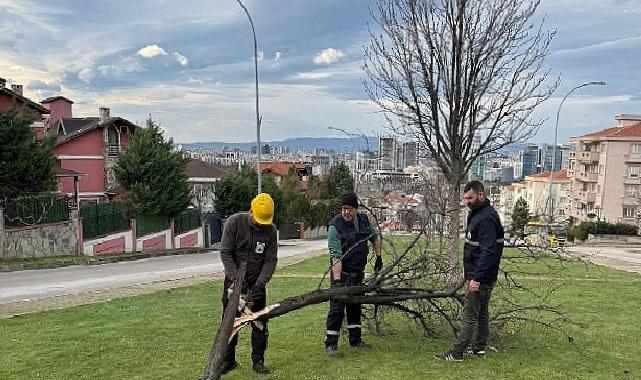 Şiddetli Lodosun Devirdiği Ağaçlara Osmangazi Belediyesi’nden Anında Müdahale