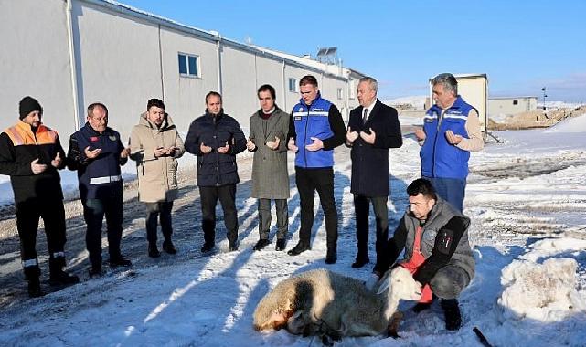 Sivas’ta Kar Yağışı İçin Şükür Kurbanı Kesildi