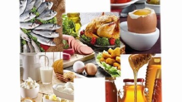 Türkiye su eserleri ve hayvansal mamuller kesimi ihracatta 4 milyar doları aştı