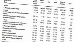 Yıllık Sanayi ve Hizmet İstatistikleri Yatırım Harcamaları, 2024