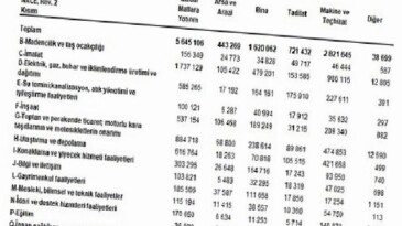 Yıllık Sanayi ve Hizmet İstatistikleri Yatırım Harcamaları, 2024