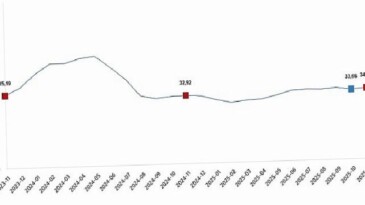 Ziraî Girdi Fiyat Endeksi, Kasım 2025