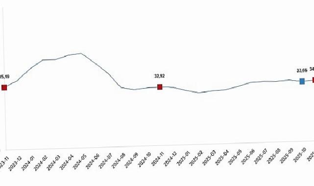 Ziraî Girdi Fiyat Endeksi, Kasım 2025