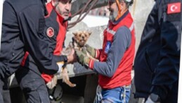 Afetzede hayvanlar için ilçelere arama kurtarma eğitimi