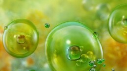 Akdeniz’de Görülen Mikroalgler ve Muhtemel Sıhhat Riskleri