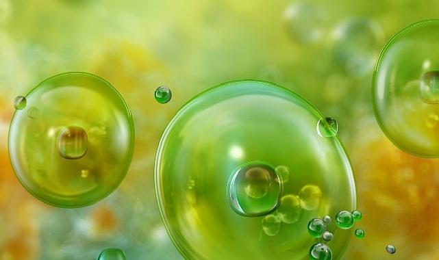 Akdeniz’de Görülen Mikroalgler ve Muhtemel Sıhhat Riskleri