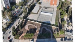 Betonun ortasından orman çıktı