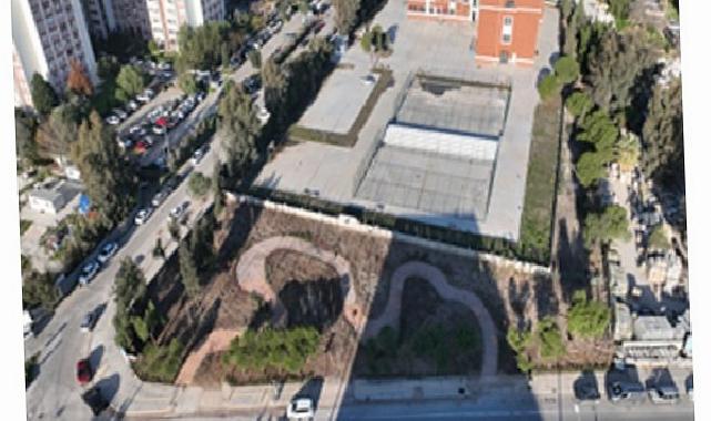 Betonun ortasından orman çıktı