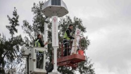 Bornova’dan Türkiye’ye güç atılımı