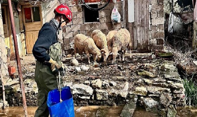 Büyükşehir grupları tüm canlılar için birebir özveriyle çalışıyor