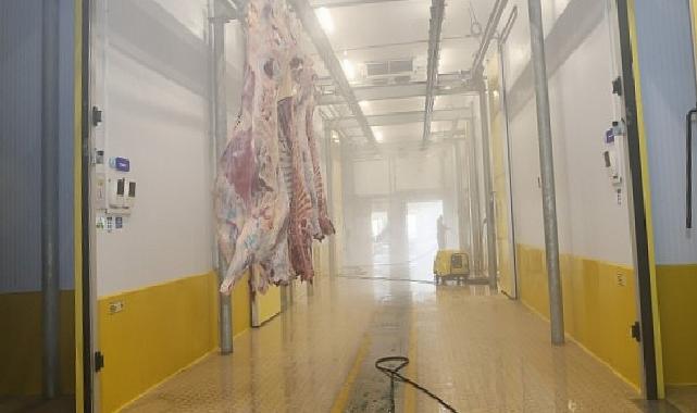 Büyükşehir Mezbahası’nda hijyenik ve helal kesim