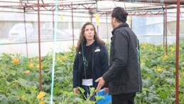 Büyükşehir’den hortum ve fırtınadan ziyan gören üreticiye sera naylonu takviyesi