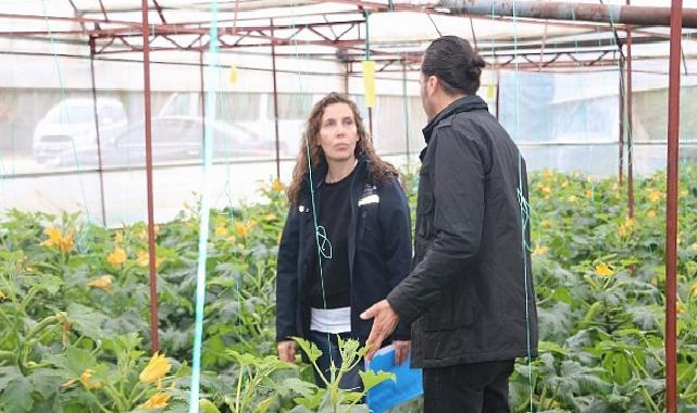 Büyükşehir’den hortum ve fırtınadan ziyan gören üreticiye sera naylonu takviyesi