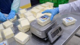 Büyükşehir’den peynir atılımı