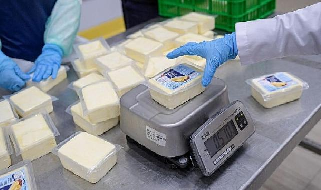 Büyükşehir’den peynir atılımı