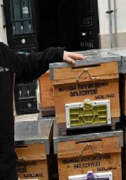 Büyükşehir’den Sel Mağduru Arıcıya Kovan Dayanağı