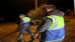 Canlar için Büyükşehir gruplarının özverili eforu