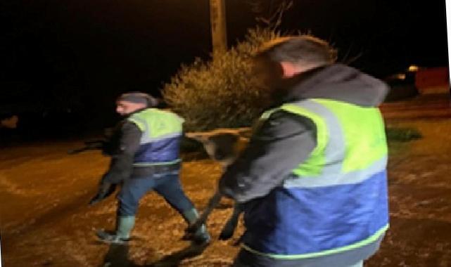 Canlar için Büyükşehir gruplarının özverili eforu