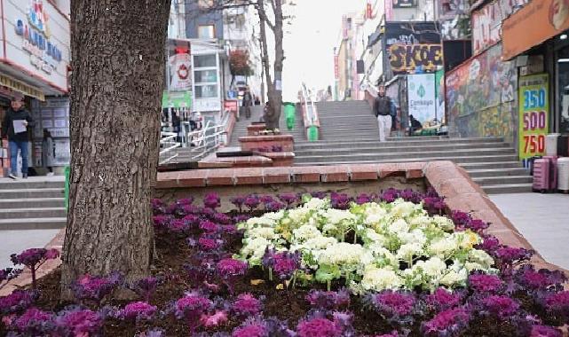Çansera’dan Kent Merkezine Kış Renkleri