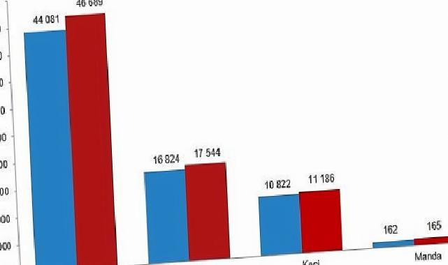 Hayvansal Üretim İstatistikleri, 2025
