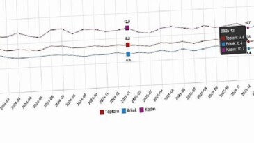 İşgücü İstatistikleri, Ocak 2026