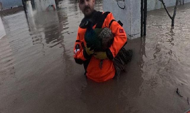 İzmir İtfaiyesi sessiz canlar için vakitle yarıştı